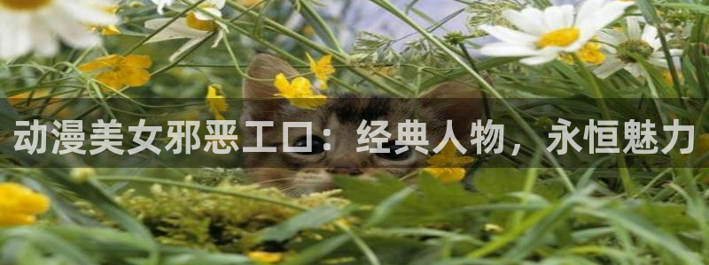 51漫画火影忍者